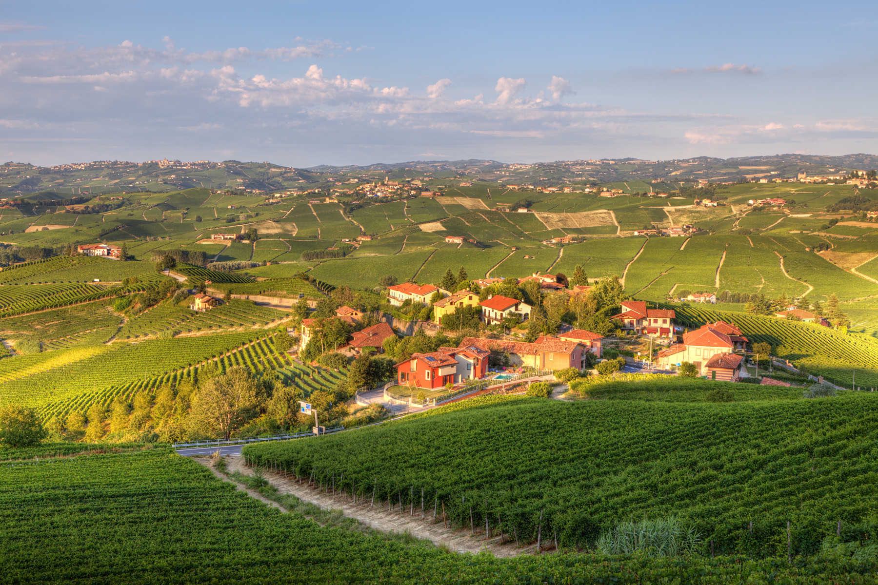 View on small village among vineyards and hills of Piedmont, northern Italy.